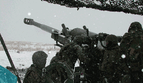 公開訓練の写真